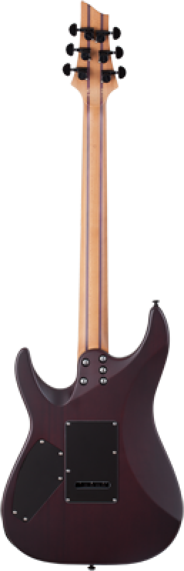 SCHECTER E-Gitarre, C-1 Exotic Ebony, Natural Satin