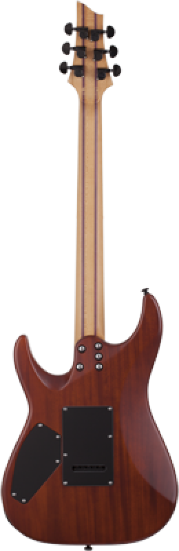 SCHECTER E-Gitarre, C-1 Exotic Spalted Maple, Satin Natural Vintage Bu