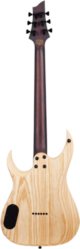 SCHECTER E-Gitarre, Signature, John Browne TAO-6, Ozone Burst