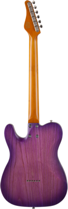 SCHECTER E-Gitarre, PT Special, Purple Burst Pearl, Palisander