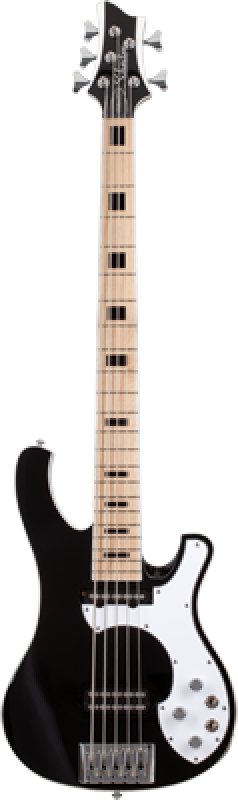 SCHECTER Bassgitarre, Stargazer-5, Gloss Black