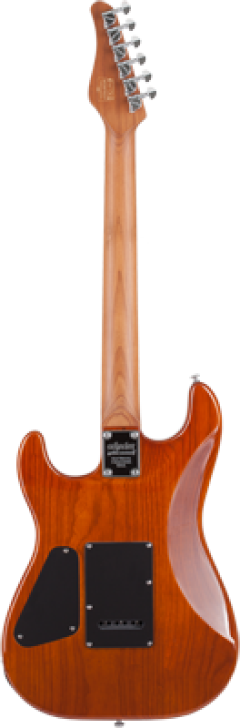 SCHECTER E-Gitarre, Traditional Van Nuys, Gloss Natural Ash