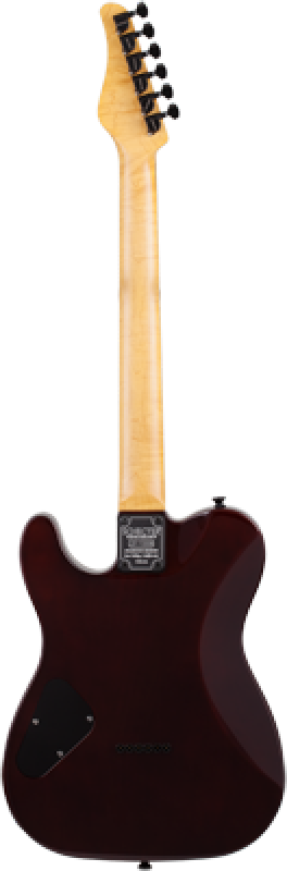 SCHECTER E-Gitarre, PT Classic, Inferno Burst