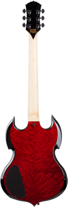 SCHECTER E-Gitarre, Wylde Audio, Barbarian, Blood Raven