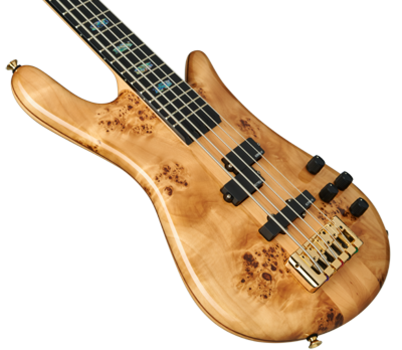 SPECTOR Bassgitarre, Euro CST, 5-Saiter, aktiv, Natural Gloss