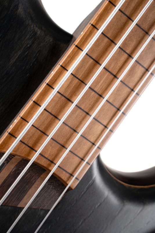 CORT Bassgitarre, B4 Element Fretless, Open Pore Trans Black