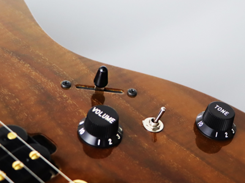 FGN E-Gitarre, Expert Odyssey DU EW, Vintage Natural, Koffer