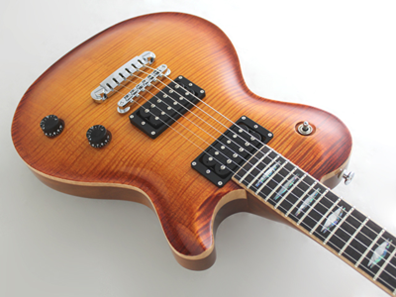 FGN E-Gitarre, Expert Flame Flamed Top, Vintage Violin, Koffer