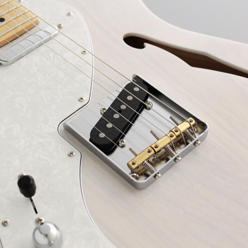 FGN E-Gitarre,Neo Classic TE100,SS FGN PU,F-Loch,White Blonde,Gigbag,L