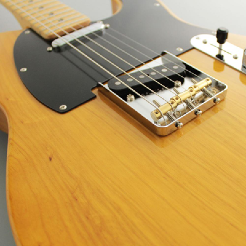 FGN E-Gitarre, Neo Classic TE100, SS FGN Pickups, Vintage Natural, Gig