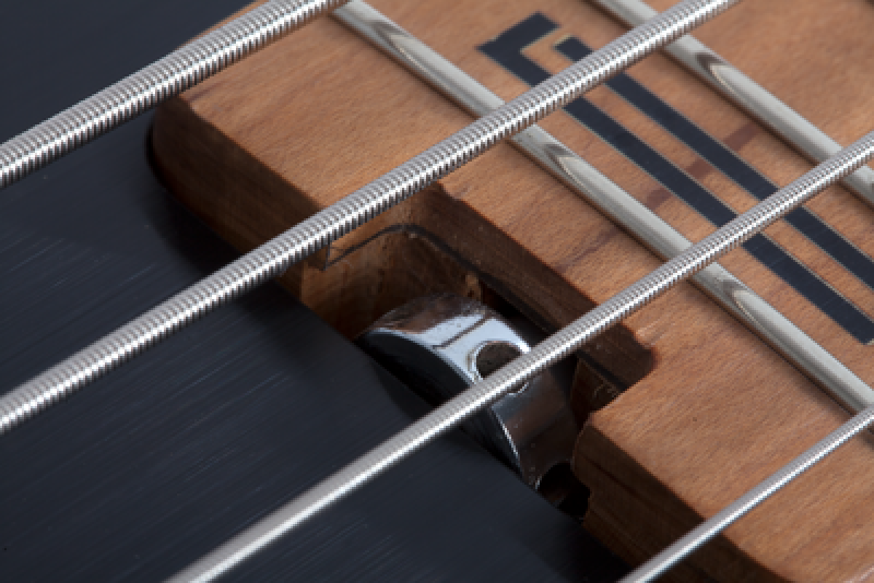 SCHECTER Bassgitarre, P-4, Exotic