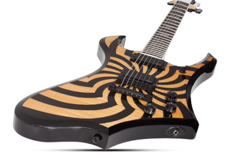 SCHECTER E-Gitarre, Wylde Audio, Goregehn, Rawtop Bullseye