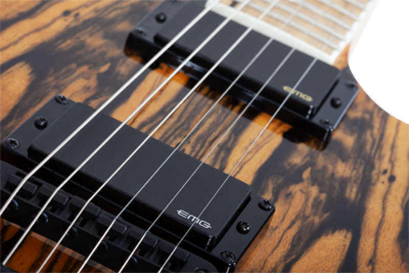 SCHECTER E-Gitarre, Wylde Audio, Barbarian, Pale Moon Ebony