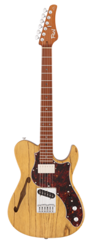 FGN E-Gitarre, Expert Iliad, Thinline Body, Vintage Natural, Koffer