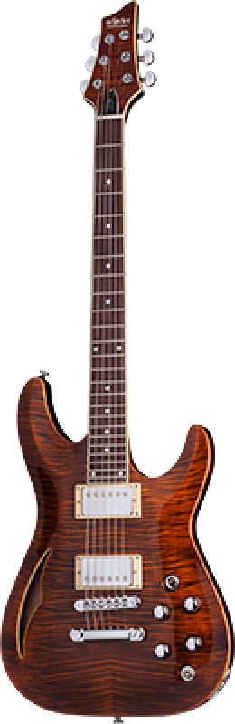 SCHECTER E-Gitarre, C-1 E/A, Cat's Eye