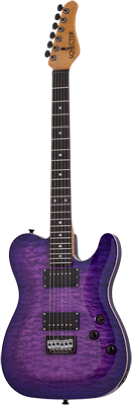 SCHECTER E-Gitarre, PT Classic, Purple Burst
