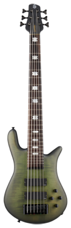 SPECTOR Bassgitarre, Euro LX, 6-Saiter, aktiv, Haunted Moss Matte
