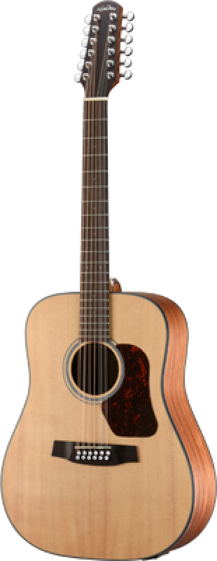 WALDEN Westerngitarre, 12-Saiter Dreadnought, Decke massiv, Mattlack,